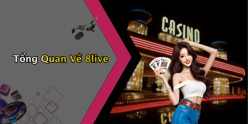 Tổng Quan Về 8live