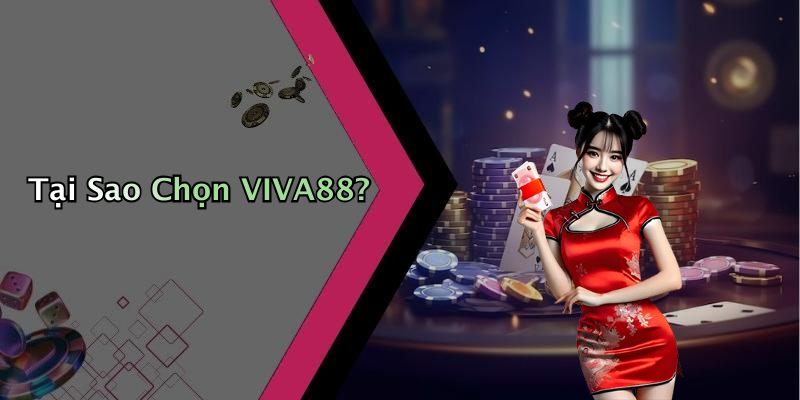 Tại Sao Chọn VIVA88?