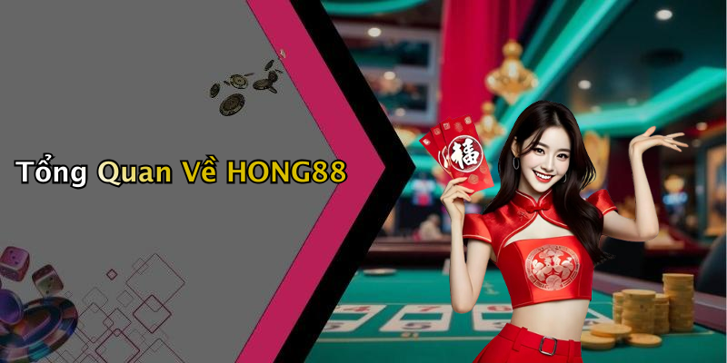 Tổng Quan Về HONG88