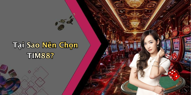 Tại Sao Nên Chọn TIM88?