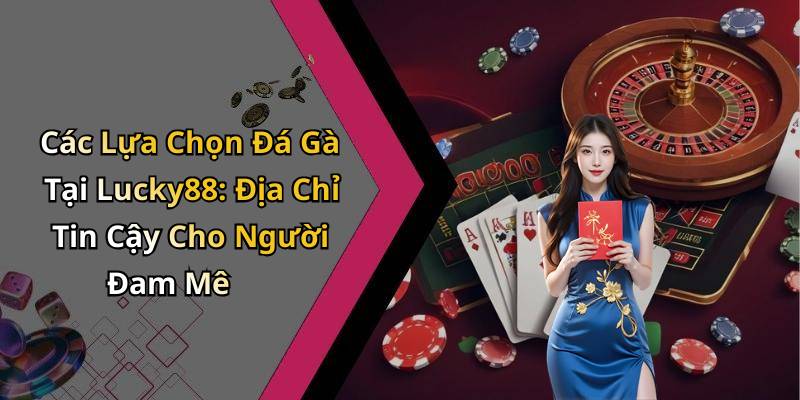 Các Lựa Chọn Đá Gà Tại Lucky88: Địa Chỉ Tin Cậy Cho Người Đam Mê