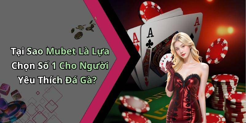 Tại Sao Mubet Là Lựa Chọn Số 1 Cho Người Yêu Thích Đá Gà?
